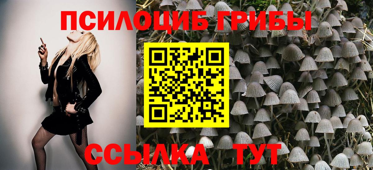 Псилоцибиновые грибы ЛСД  Вход с VPN  Асино 
